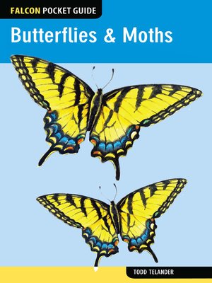 cover image of Falcon Pocket Guide: Butterflies & Moths